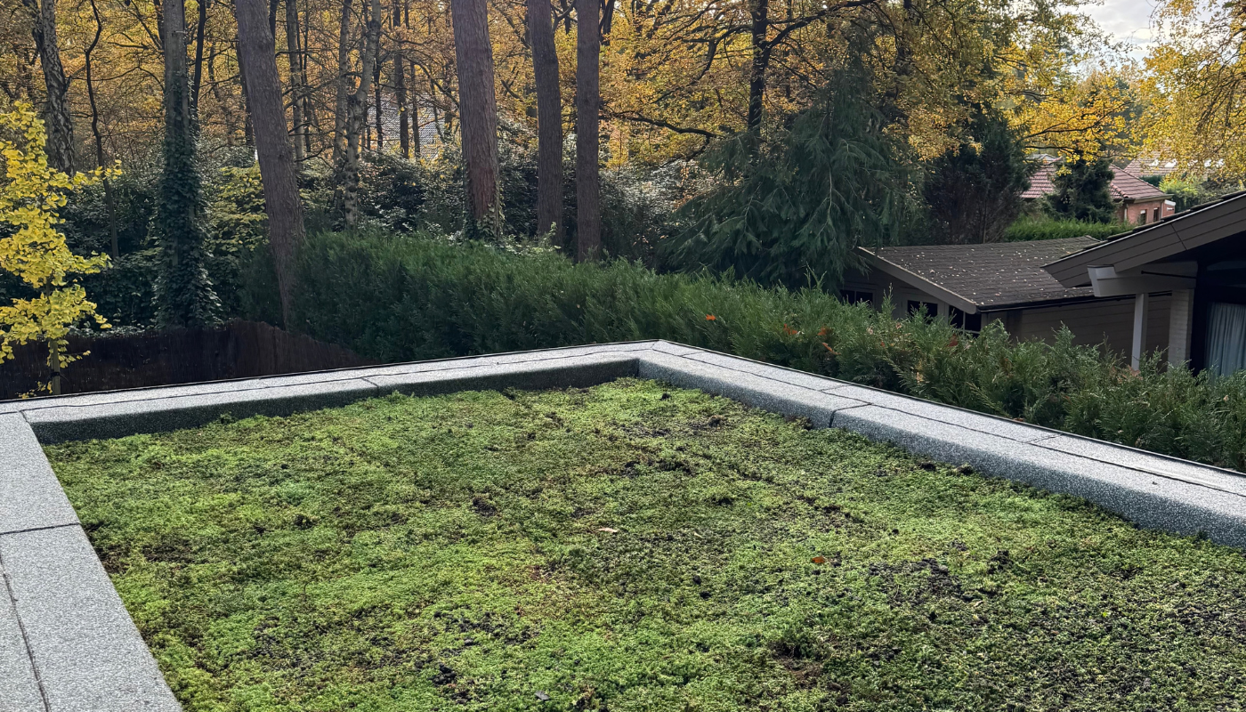Overzicht van het groendak met sedumstekken in Brasschaat